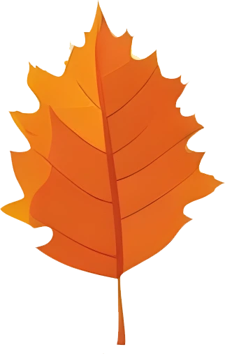 rendy Foliage Design, Leaf PNG Download, Tropical different type exotic leaves set_9.webp